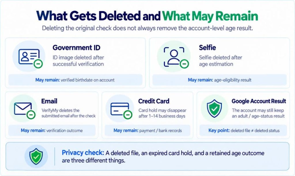 Infographic comparing data deletion and retention after YouTube age verification using government ID, selfie, email, or credit card, explaining that submitted information may be deleted while verification outcomes, account age status, or payment records may remain.